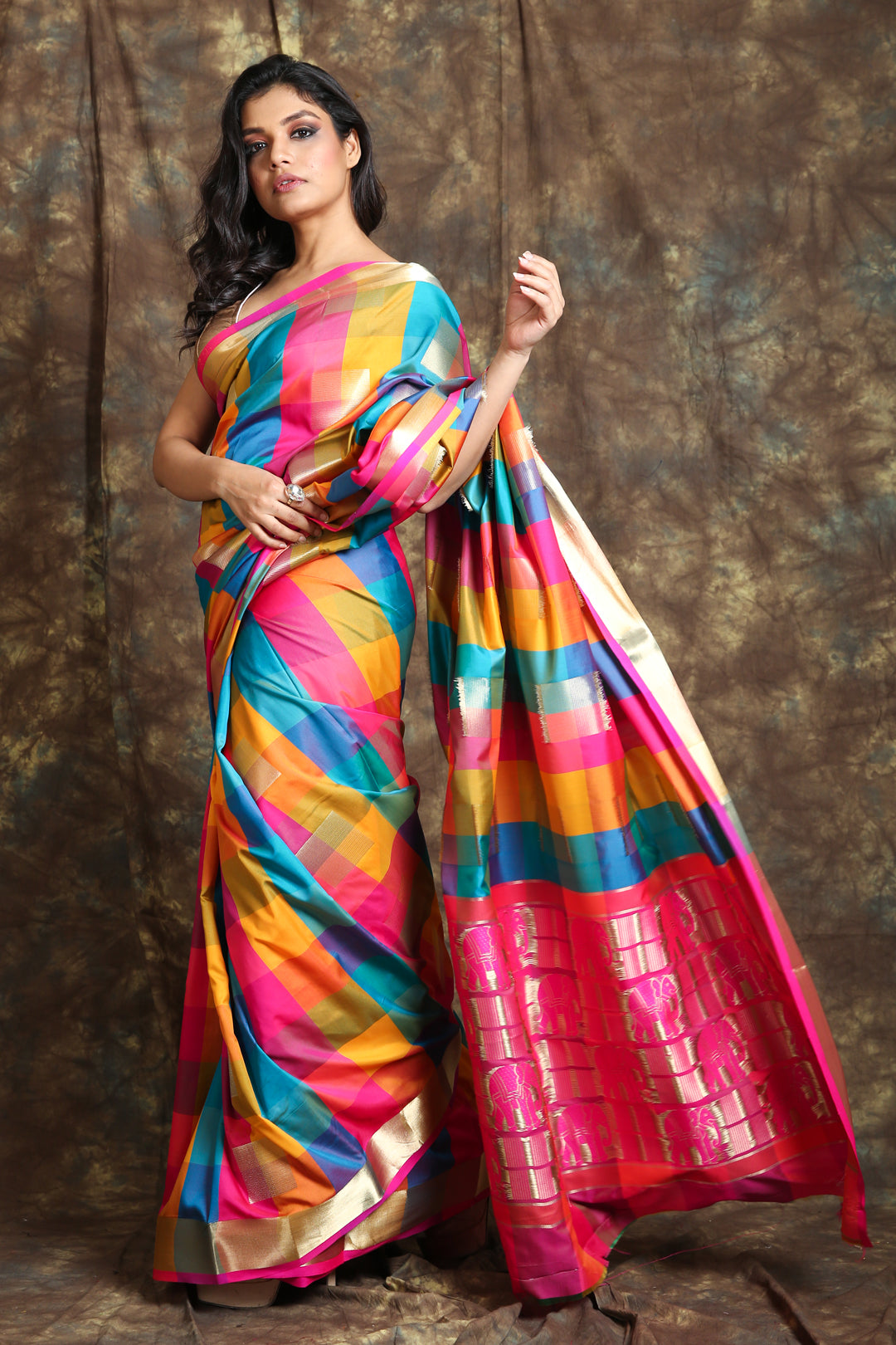 Multi colour Pure Zari | Borderless Kanjivaram Silk Saree – Avishya.com